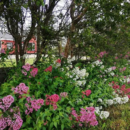 Bluetit ベッド・アンド・ブレックファスト