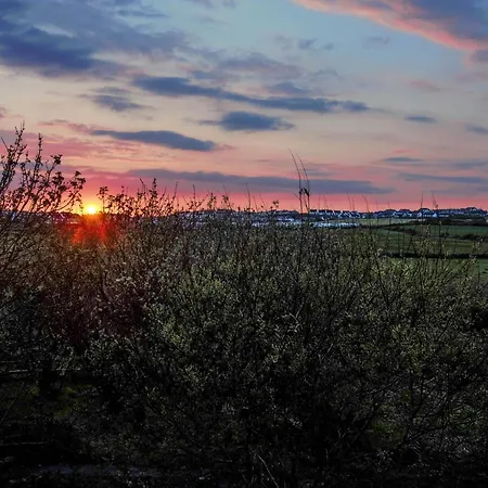 Bluetit キルキー