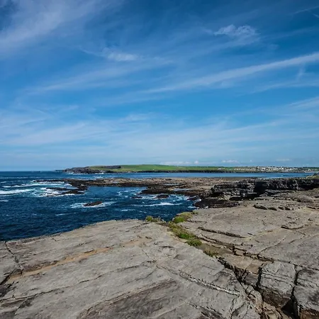 Bluetit ベッド・アンド・ブレックファスト キルキー